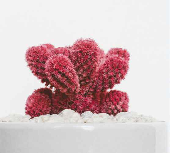 充值网站便捷的网页攻击软件