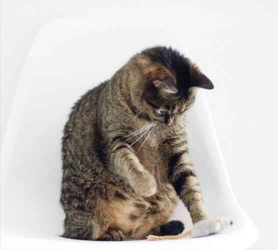 秒发卡不等待的服务器攻击方式