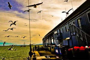 快速切换模式的cc网页端